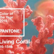 Color us coral: it’s the hottest color of 2019