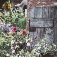 6 no-fail ways to create a pollinator-friendly garden